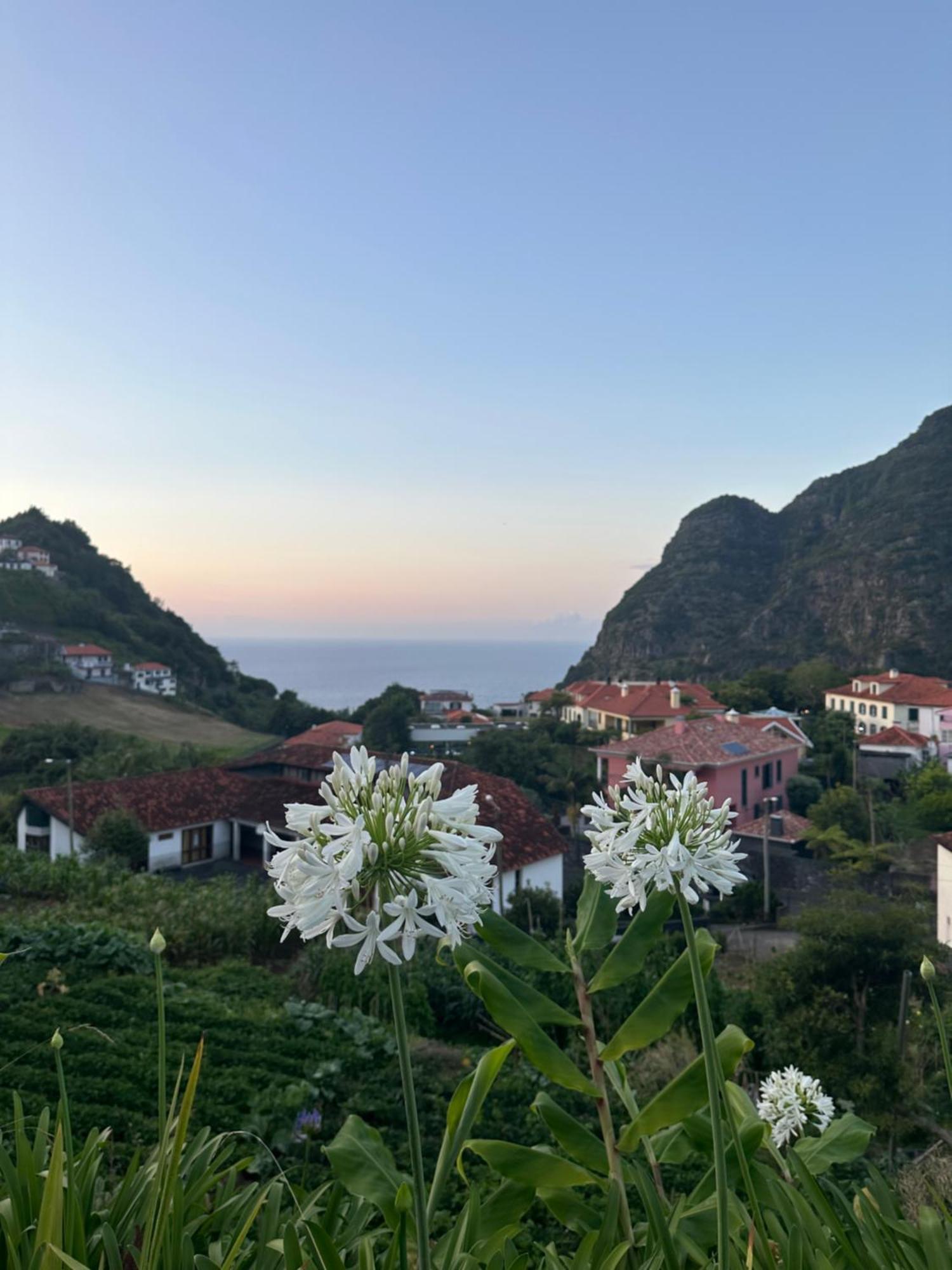 The Green Valley House São Vicente Exteriör bild